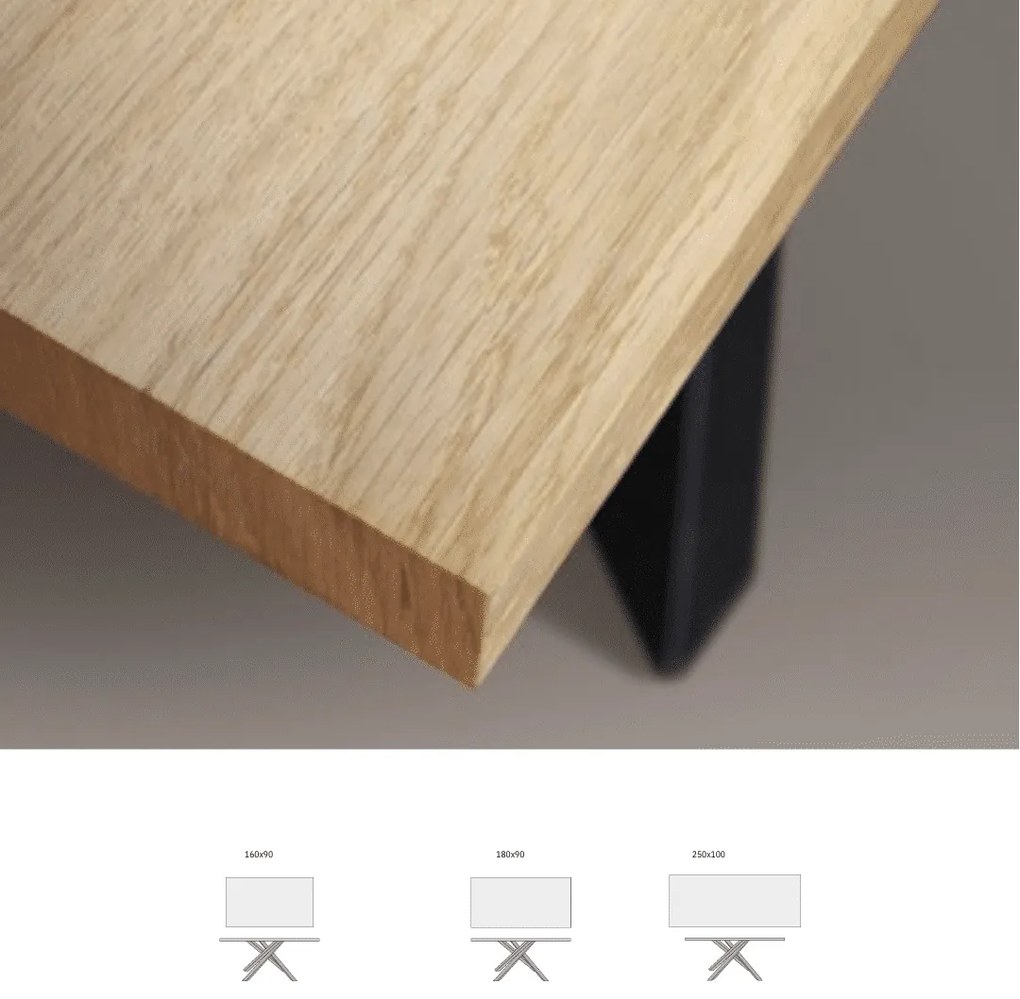 MASA INDUSTRY - BLAT FIX LEMN CU PICIOR METALIC - 250 cm / 100 cm / h 77 cm - NEGRU