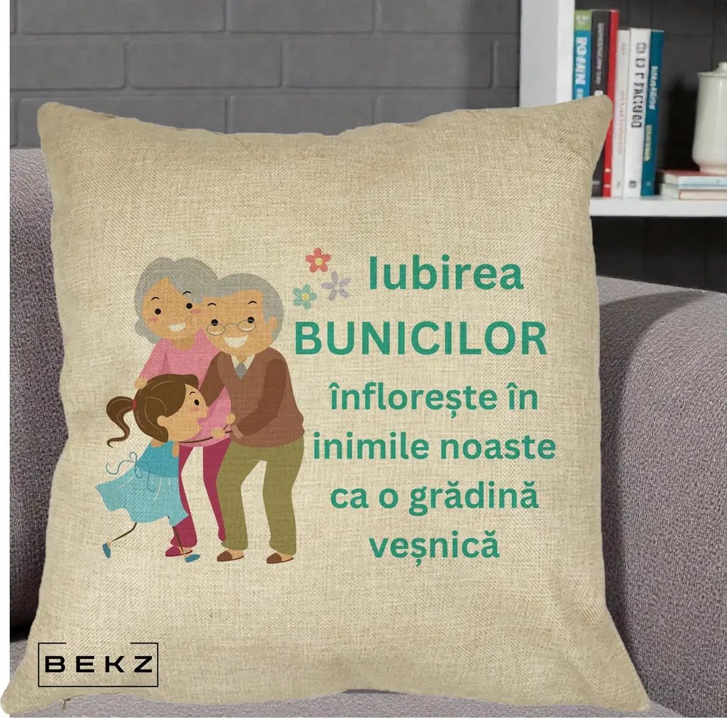 Cadou pentru Bunici - Perna Personalizata Bunicii Iubirea Infloreste cu Nepoata Teal, 40x40 cm, Crem, Husa Detasabila, Perna Inclusa, BEKZ®