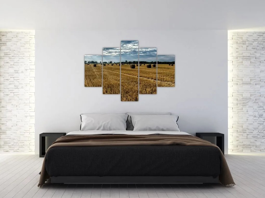 Tablou cu câmp recoltat (150x105 cm)