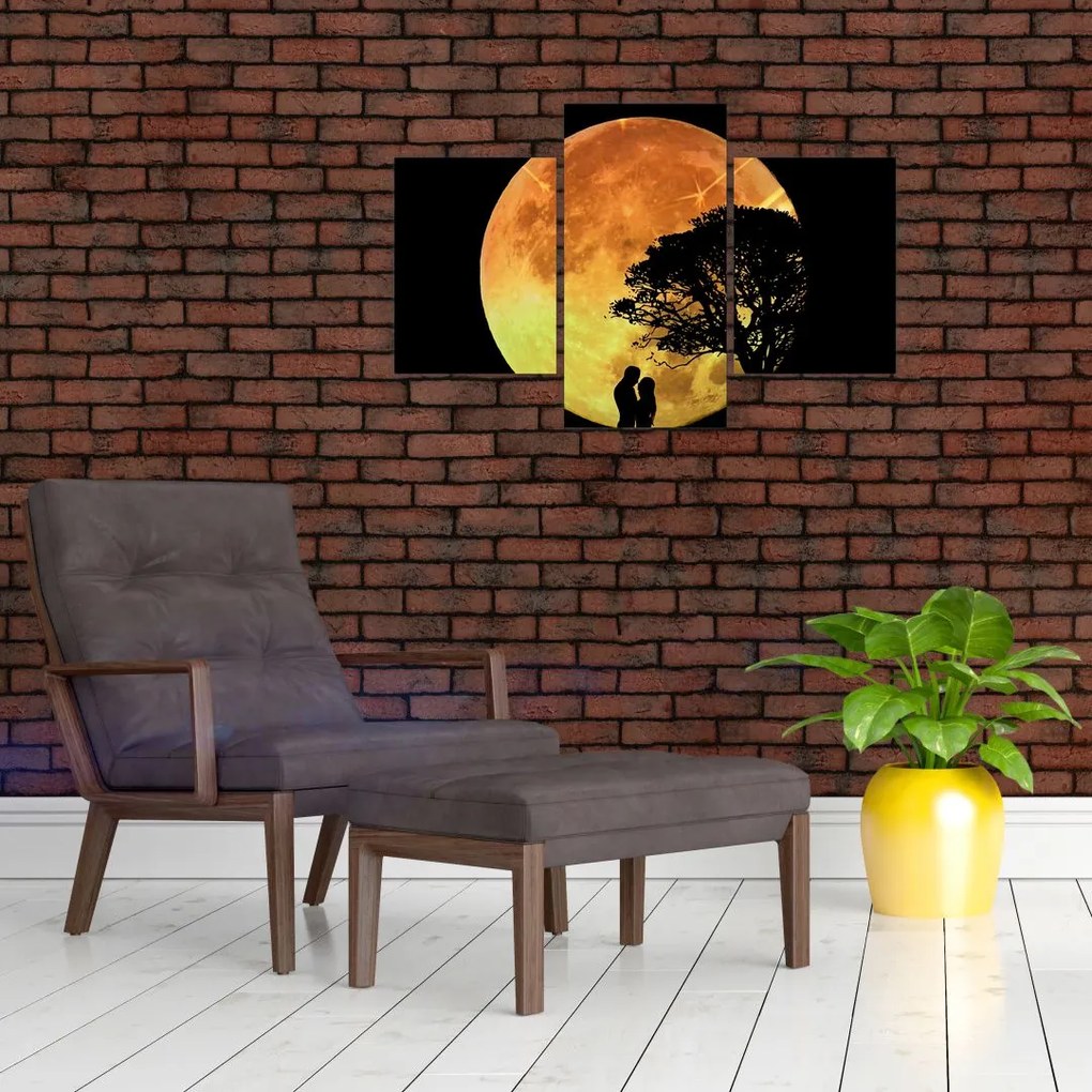 Tablou cu umbre în lumina lunii (90x60 cm)