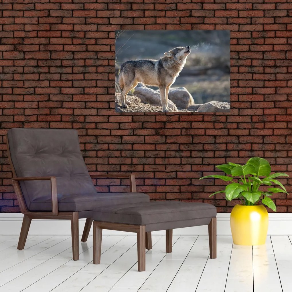 Tablou pe sticlă - Lupul urlător (70x50 cm)