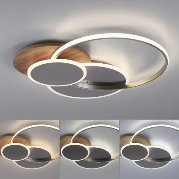 Plafonieră LED dimabilă PALMA LED/50W/230V Paul Neuhaus 8328-79 + telecomandă