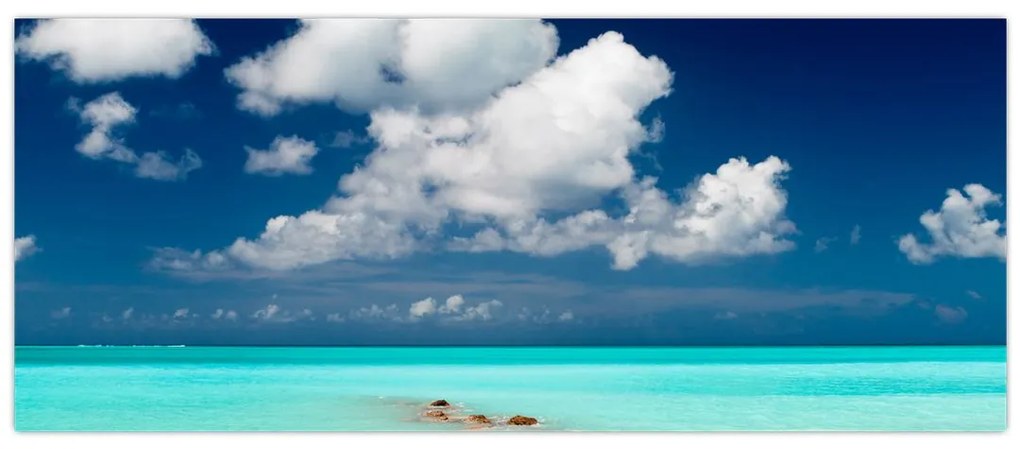 Tablou cu mare (120x50 cm)
