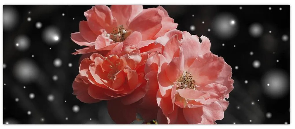 Tabloucu floare roz (120x50 cm)