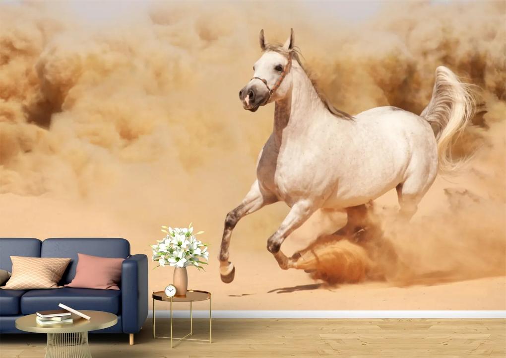 Tapet Premium Canvas - Calul alb in desert
