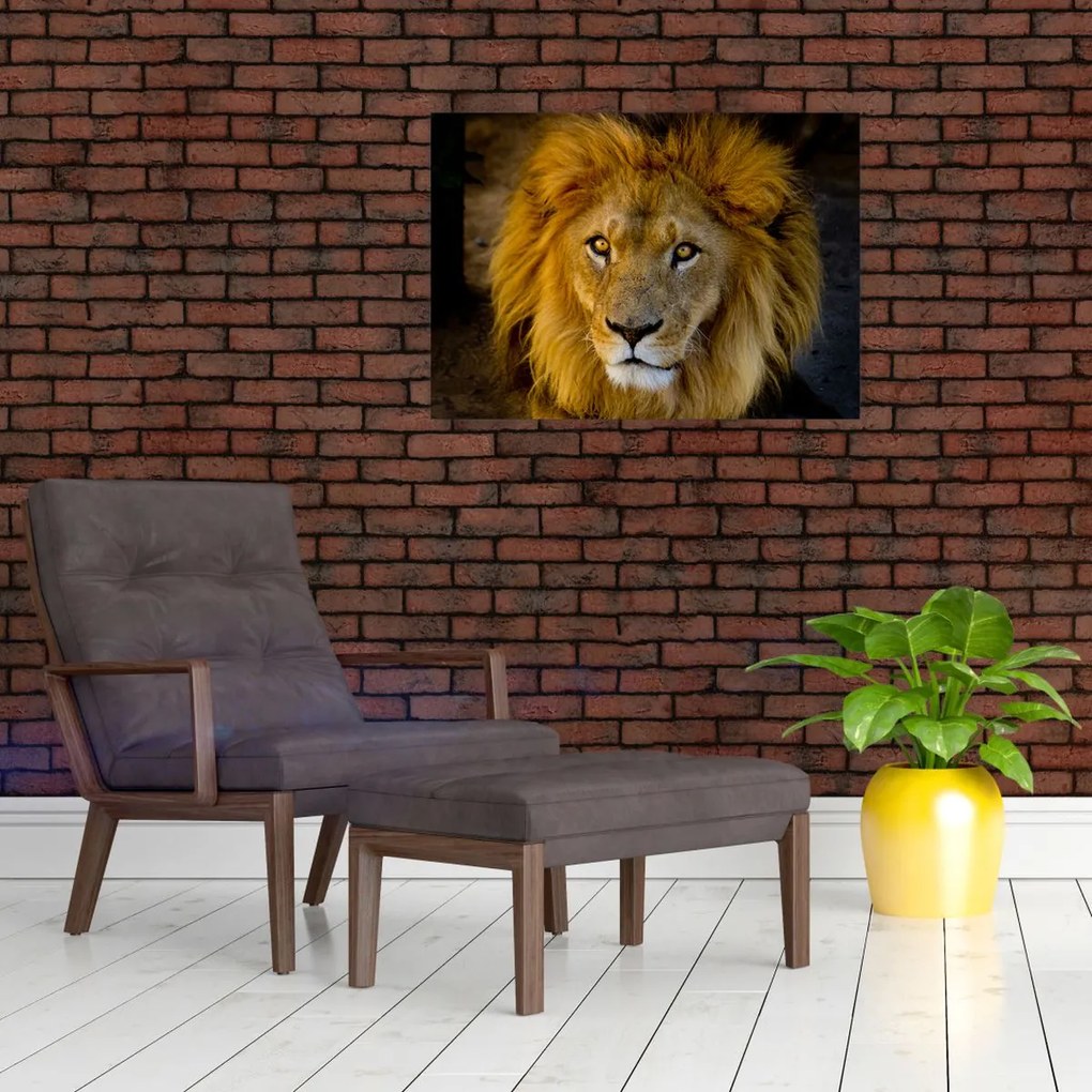 Tablou - Portret de leu (70x50 cm)