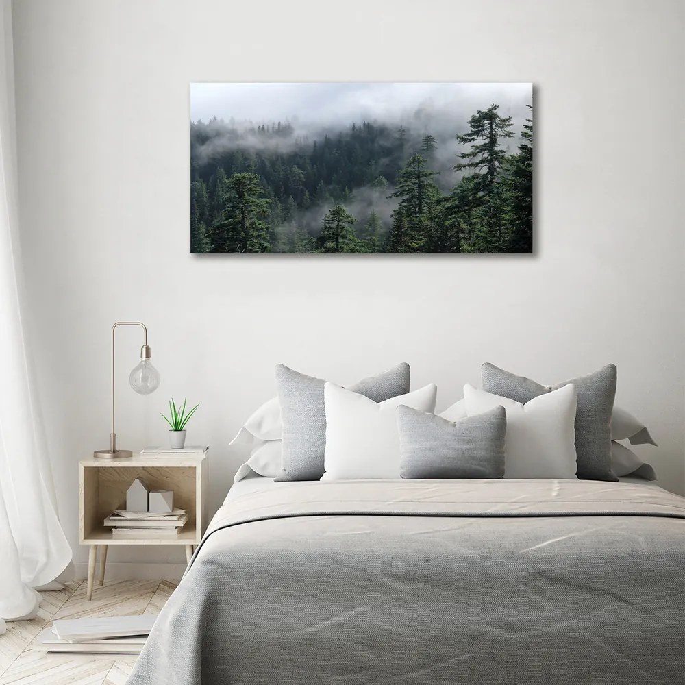 Imprimare tablou canvas Ceață pădure