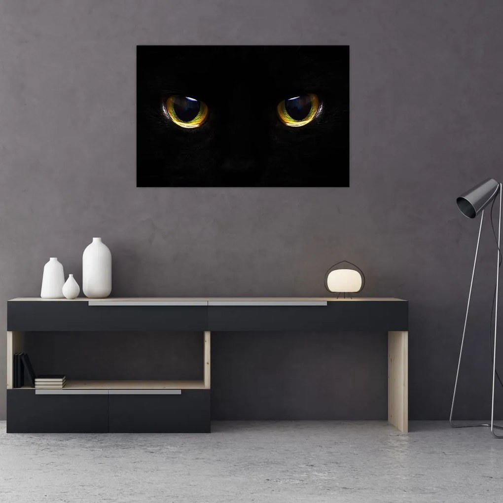 Tablou - Ochi de pisică (90x60 cm)