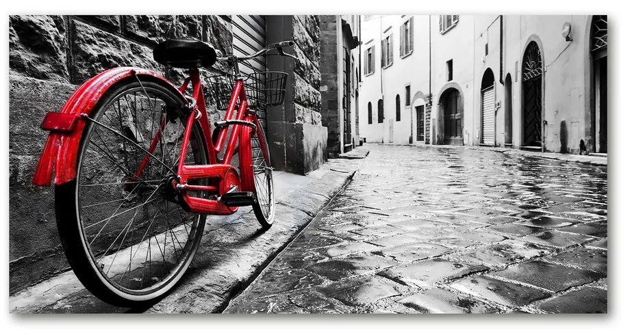 Tablou acrilic Bicicletă roșie