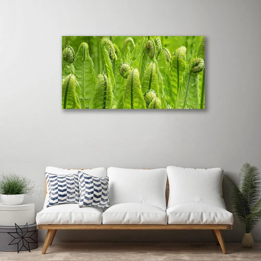 Tablou pe panza canvas Plante Floral Verde