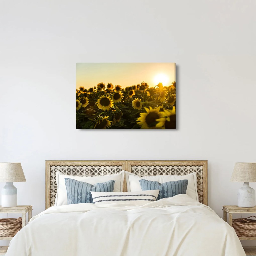 Tablou cu lan de floarea soarelui (90x60 cm)