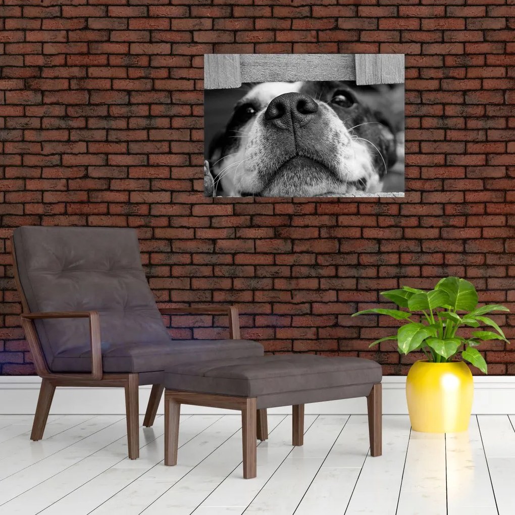 Tablou cu câine (70x50 cm)