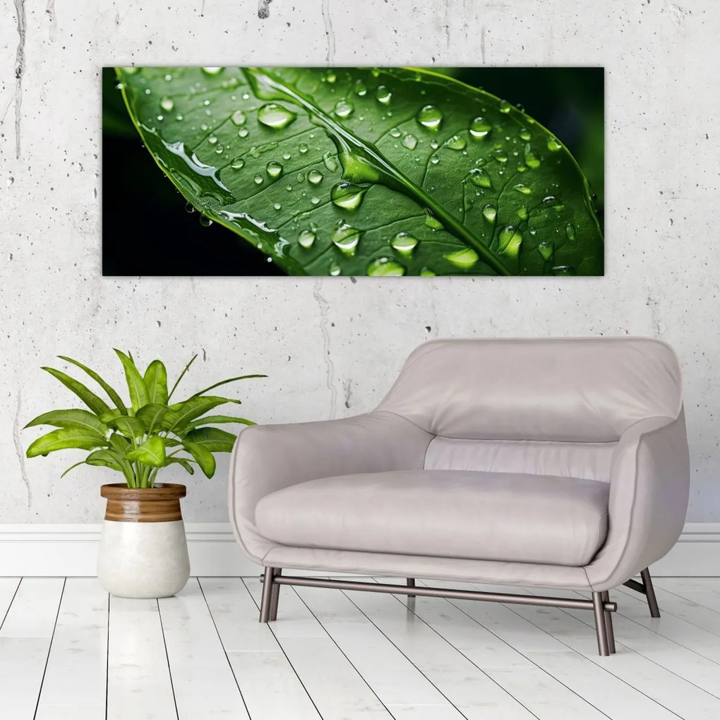 Tablou - Frunză după ploaie (120x50 cm)