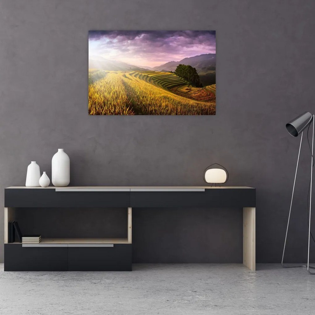 Tablou peisajului (90x60 cm)