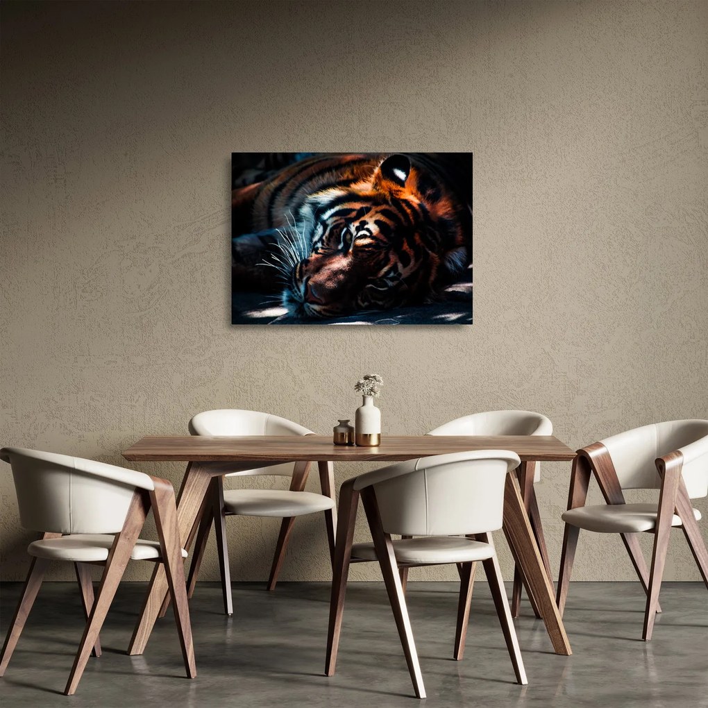 Tablou pe sticlă cu tigrul dormind (70x50 cm)
