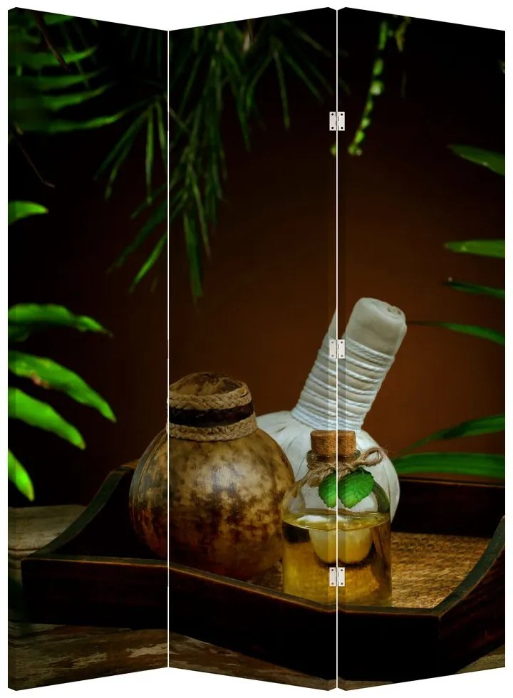 Paravan - Obiectele spa (126x170 cm)