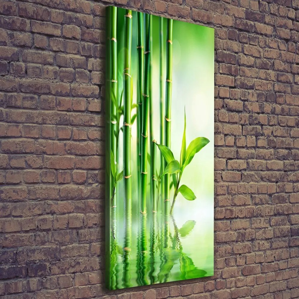 Tablou pe pânză canvas Bamboo în apă