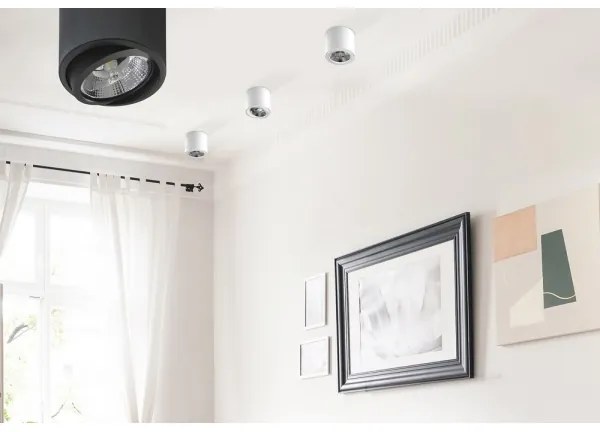 Azzardo AZ1356 - Plafonieră ALIX 1xG53/50W/230V/12V