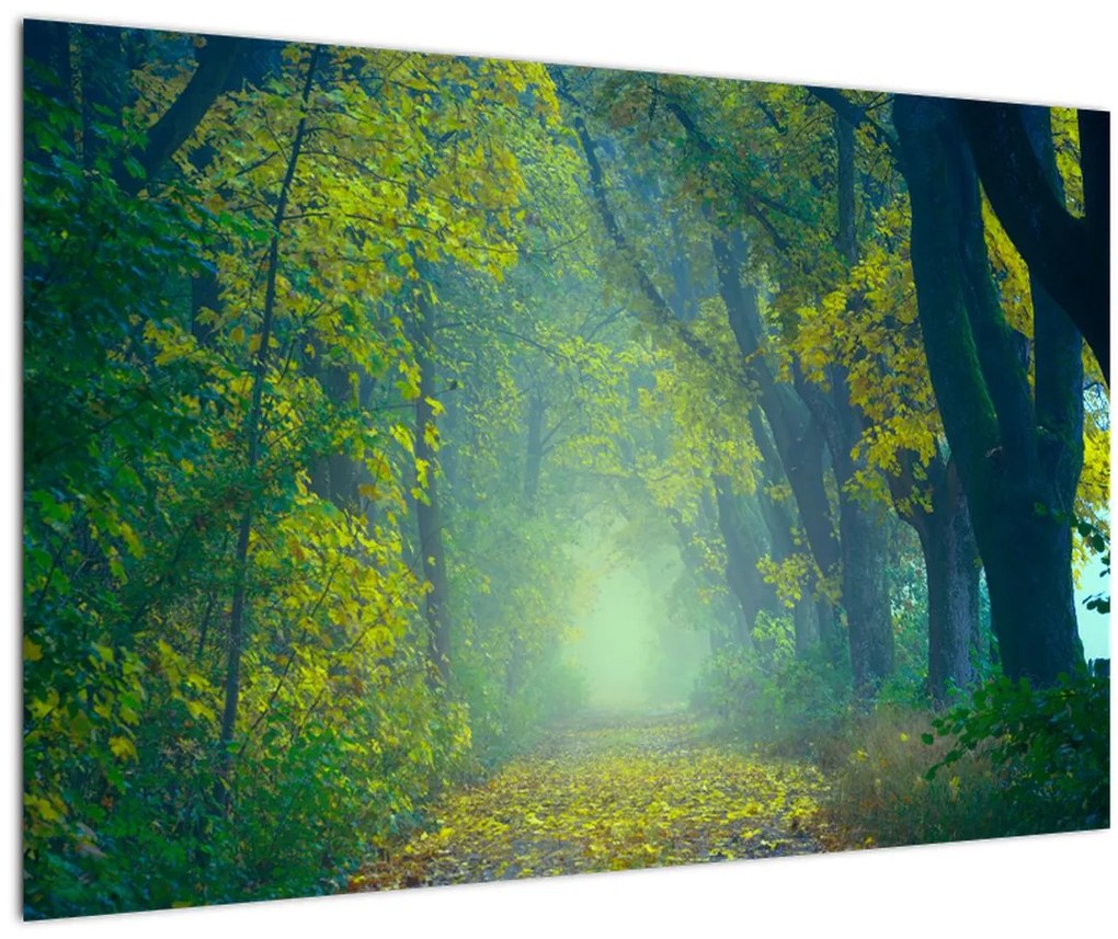 Tablou cu drum dea lungul cu copaci (90x60 cm)