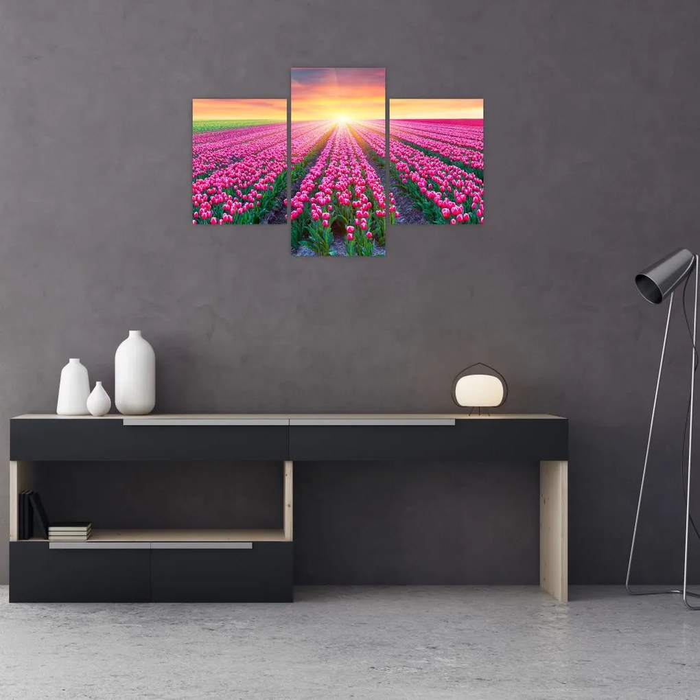 Tablou cu câmp de lalele cu soare (90x60 cm)