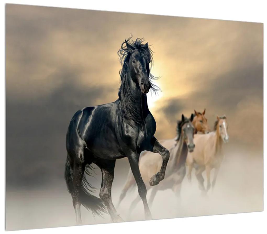 Tablou cu cal (70x50 cm), în 40 de alte dimensiuni noi