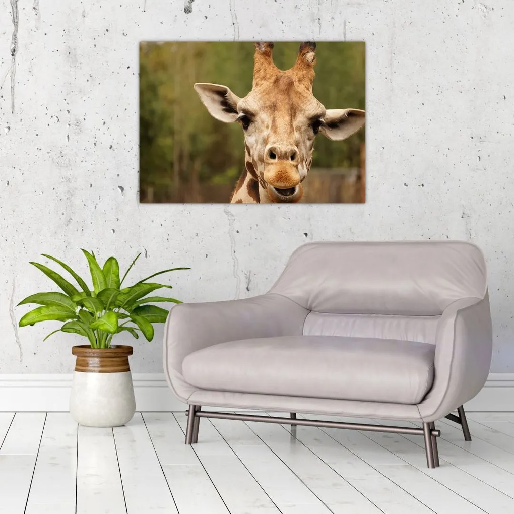 Tablou girafe (70x50 cm)