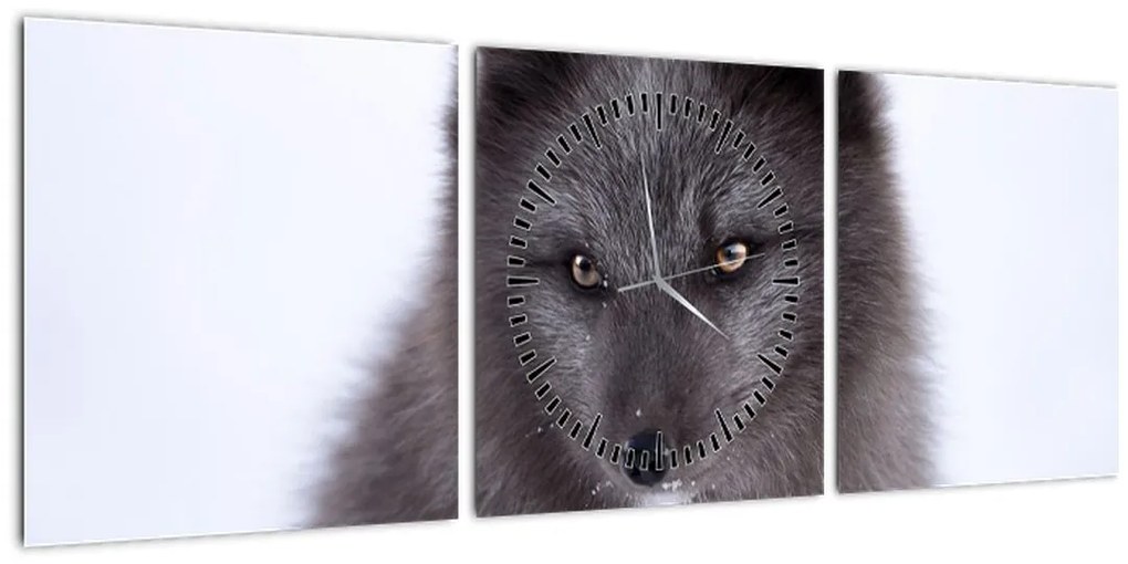 Tablou cu vulpe polară (cu ceas) (90x30 cm)
