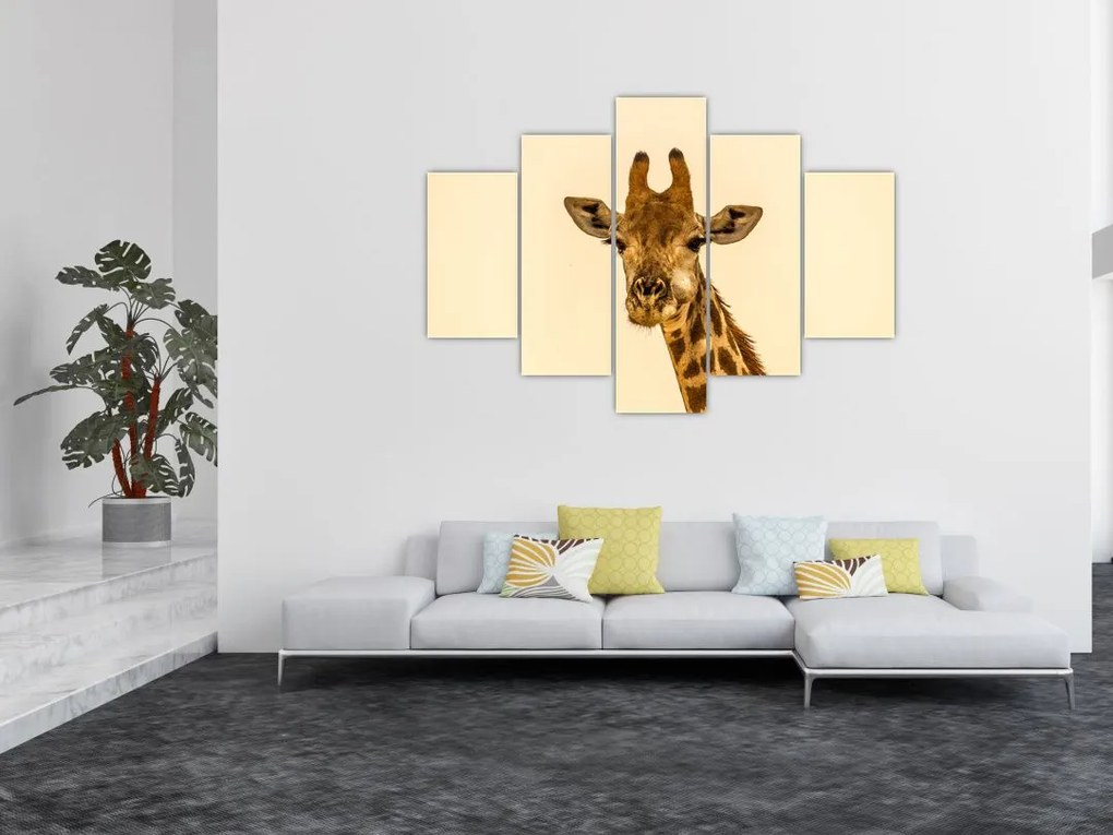 Tablou cu girafe (150x105 cm)