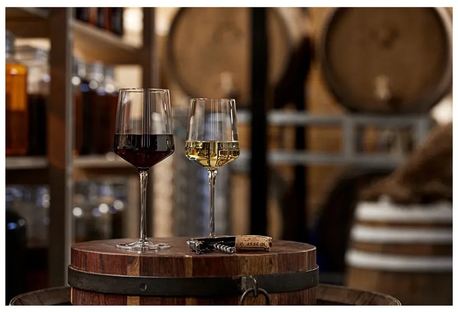 Pahare de vin 2 buc. 300 ml Rocks – Zone