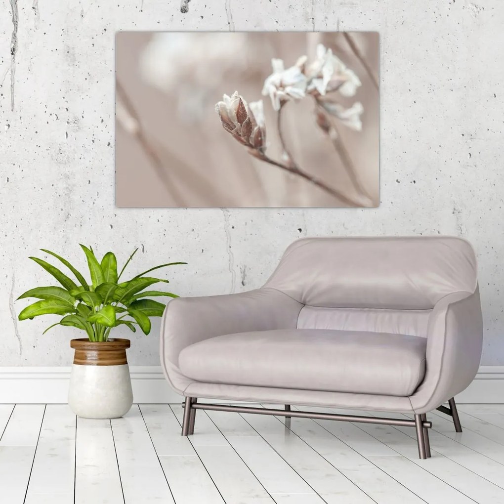 Tablou - Detaliu ramură (90x60 cm)