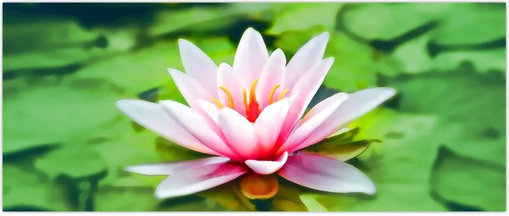 Tablou - Nuferi pe apă (120x50 cm)