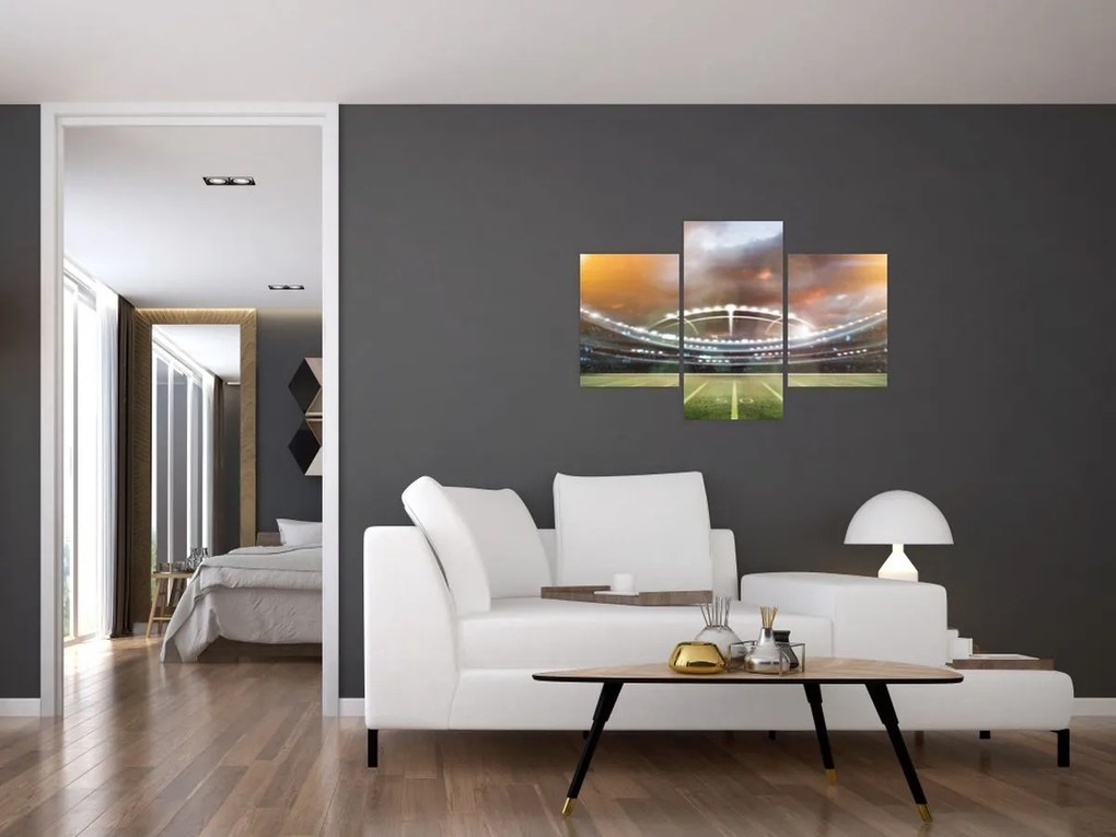 Tablou - Stadion (90x60 cm)