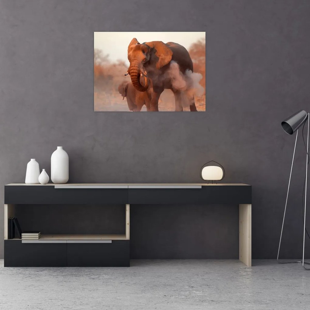 Tablou pe sticlă - Marele elefant african (70x50 cm)