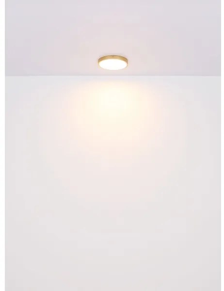 Plafonieră LED TIBEY LED/22W/230V d. 35 cm Globo 12381-22