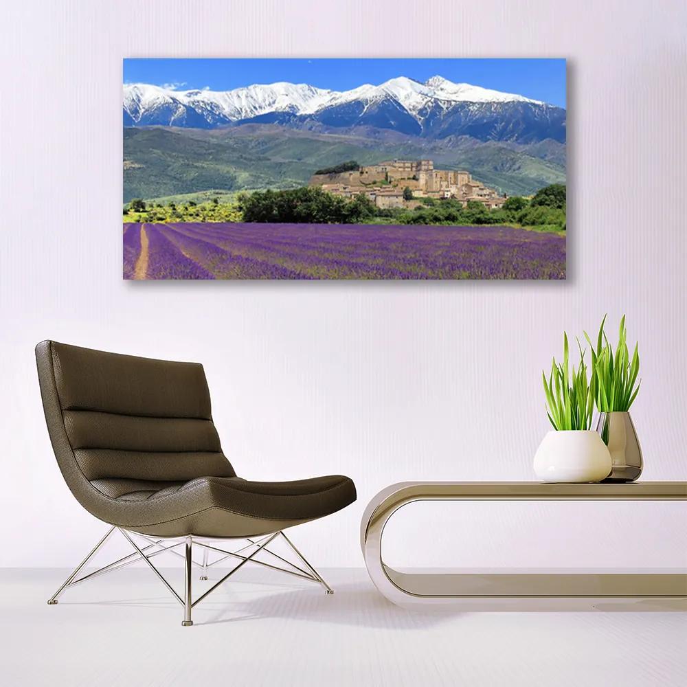 Tablouri acrilice Luncă Munții Flori Peisaj Violet Verde Albastru Alb