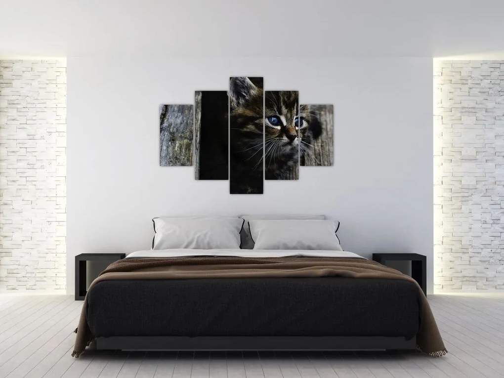 Tablou cu pisicuța (150x105 cm)