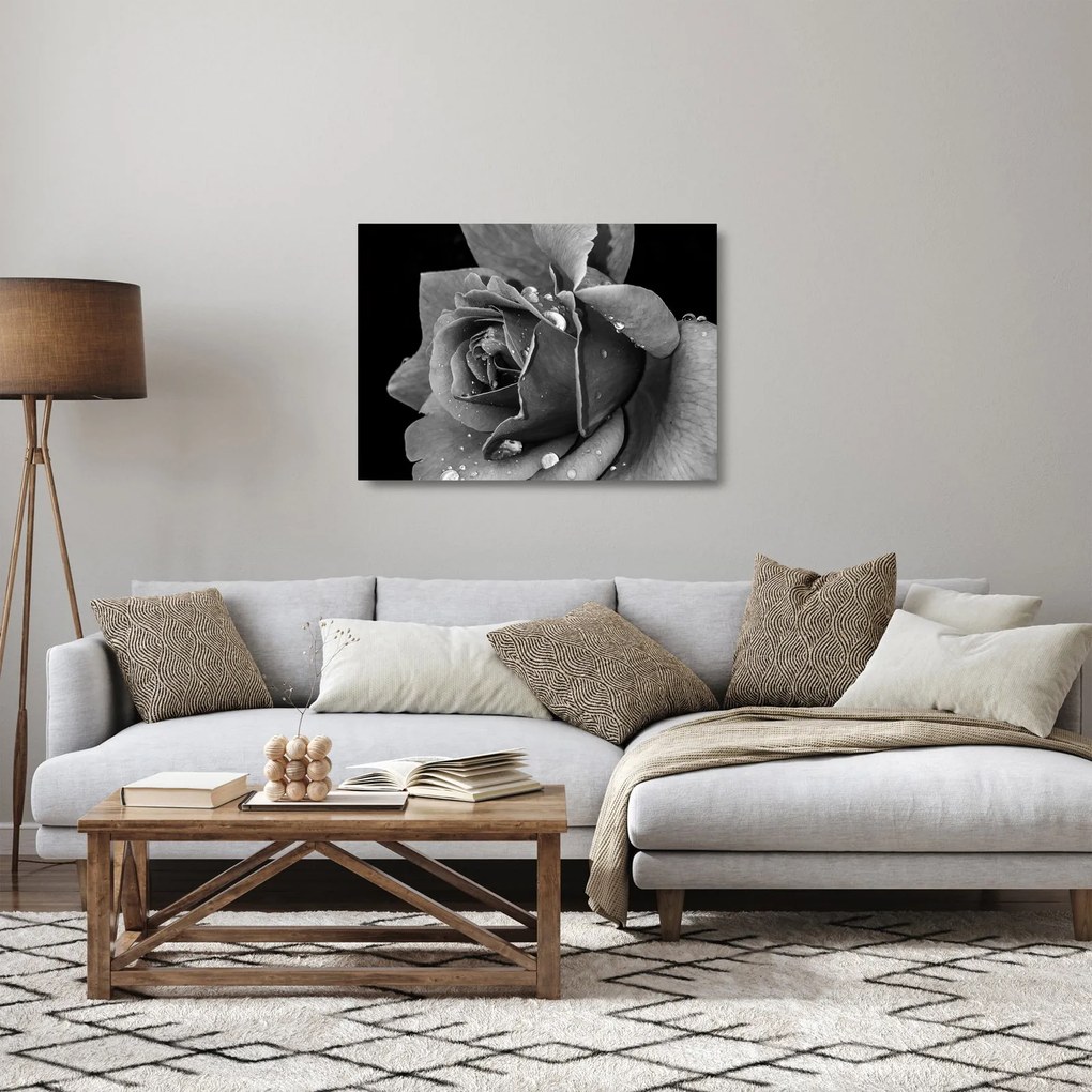 Tablou pe sticlă cu trandafir - albneagră (70x50 cm)