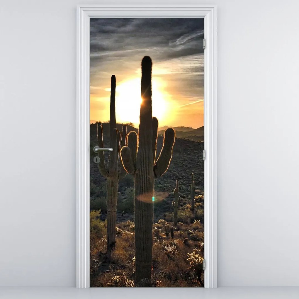 Fototapet pentru ușă - Cactuși la soare (95x205cm)
