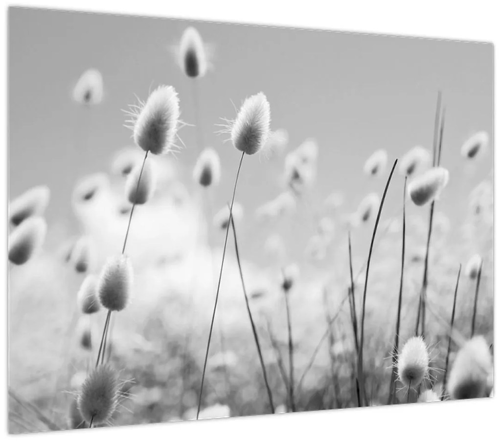 Tablou pe sticlă - Boho iepuraș coadă de iarbă (70x50 cm)