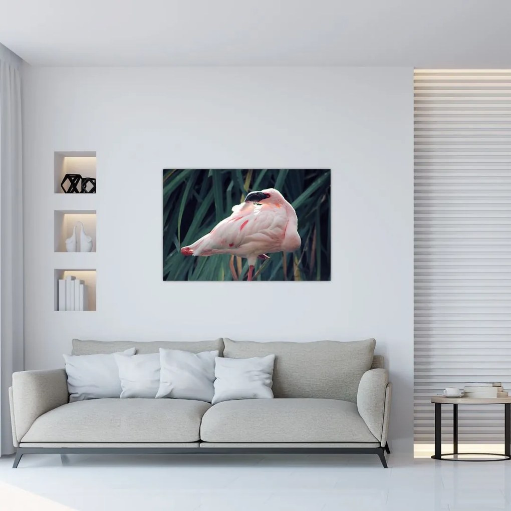 Tablou - Pasărea Flamengo (90x60 cm)