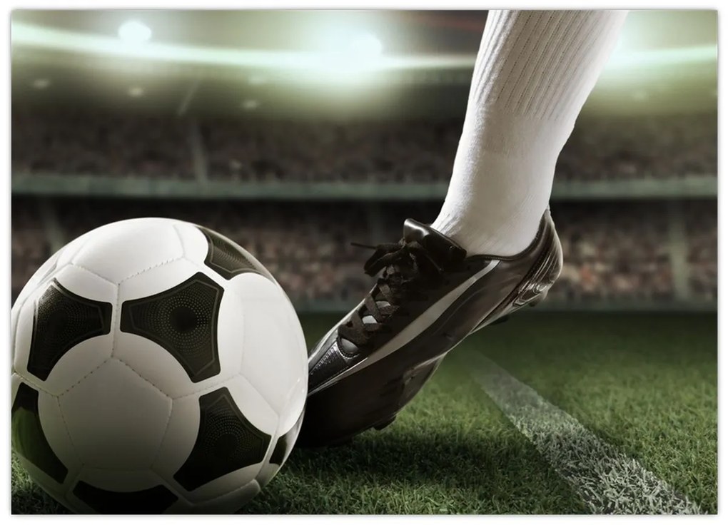 Tablou - Minge de fotbal (70x50 cm)