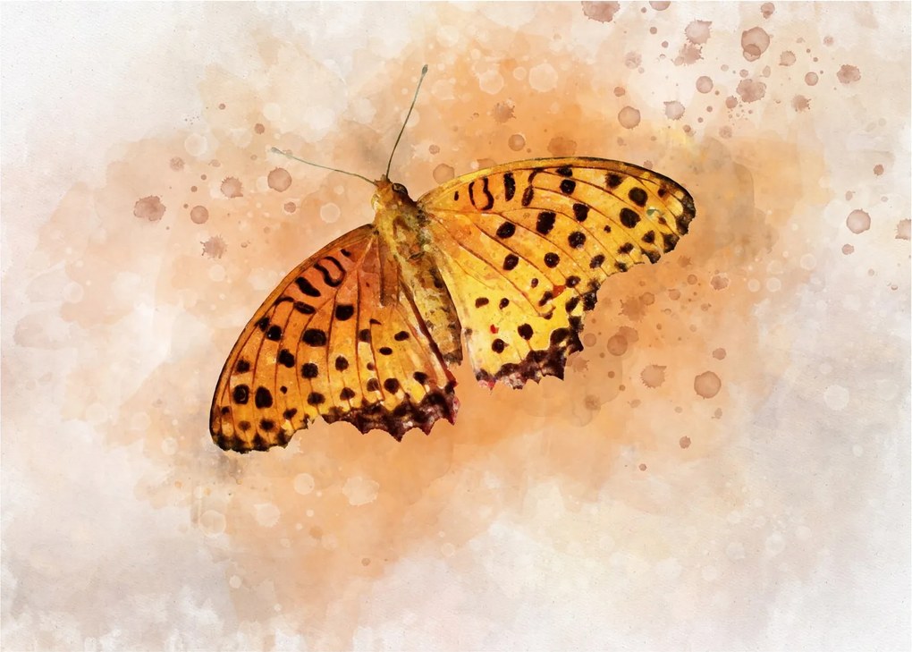 Tablou pe sticlă - Fluture portocaliu, aquarelă (70x50 cm)