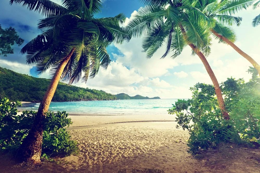 Fototapet apus pe insula Seychelles