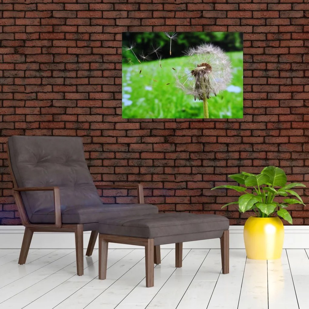 Tablou pe sticlă cu păpădie (70x50 cm)