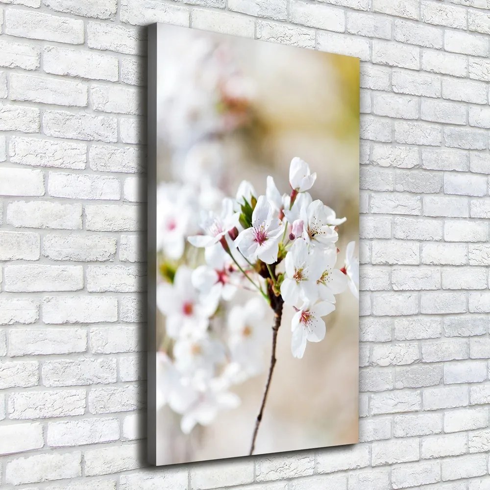 Imprimare tablou canvas Flori de cireș