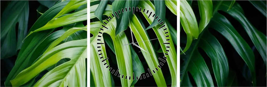 Tablou - Frunze tropicale (cu ceas) (90x30 cm)