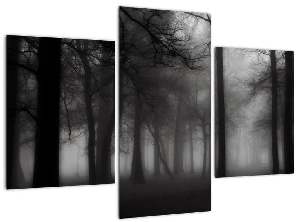 Tablou - Pădure în ceață (90x60 cm)