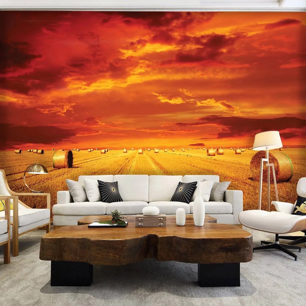 Fototapet - Câmp (152,5x104 cm)