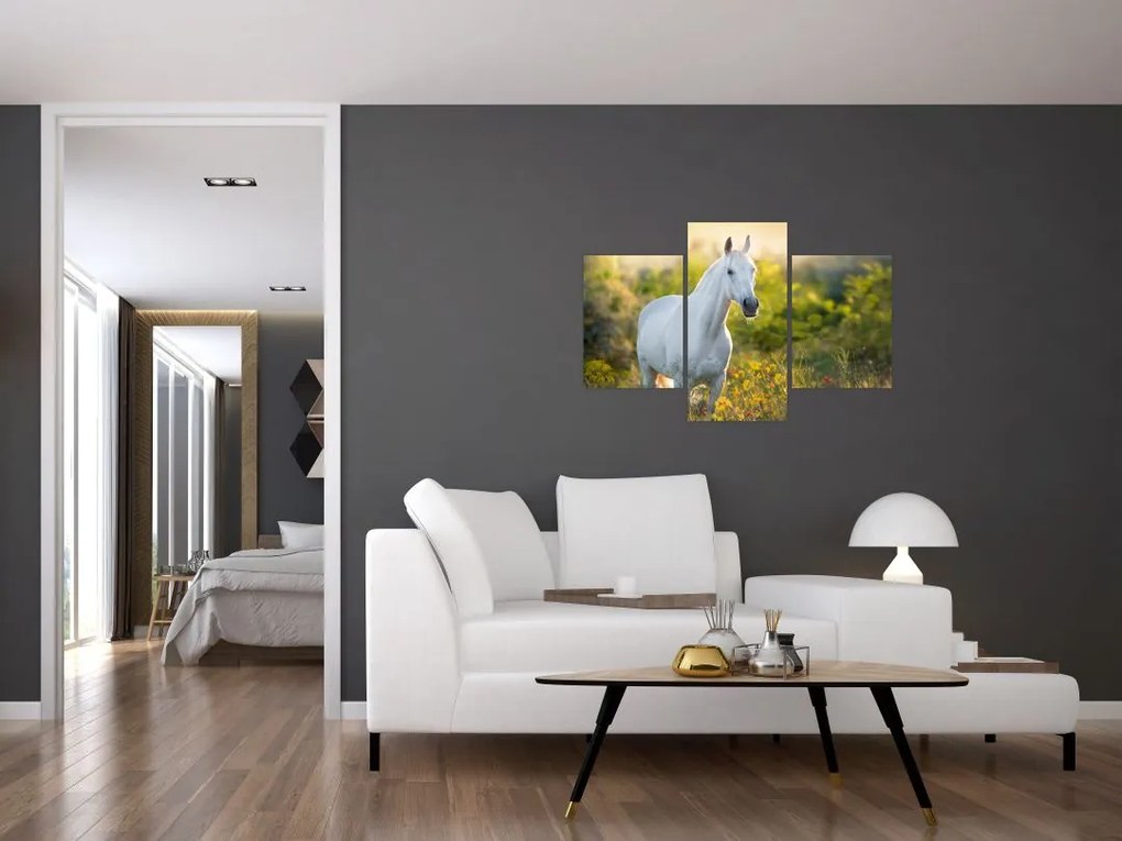 Tablou - Cal alb în poină (90x60 cm)