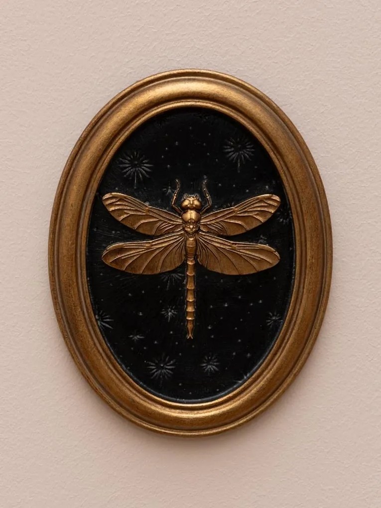 Set 4 tablouri polyrasina cu insecte " Entomology "